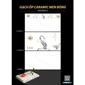 Gạch Ceramic 40x80 mài bóngg mã TK36060