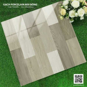 Gạch porcelain 600x600 mài bóng mã TK6699N